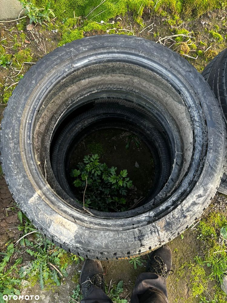 Opona zimowa Bridgestone Blizzak LM-25 - 205/50R17 - 5