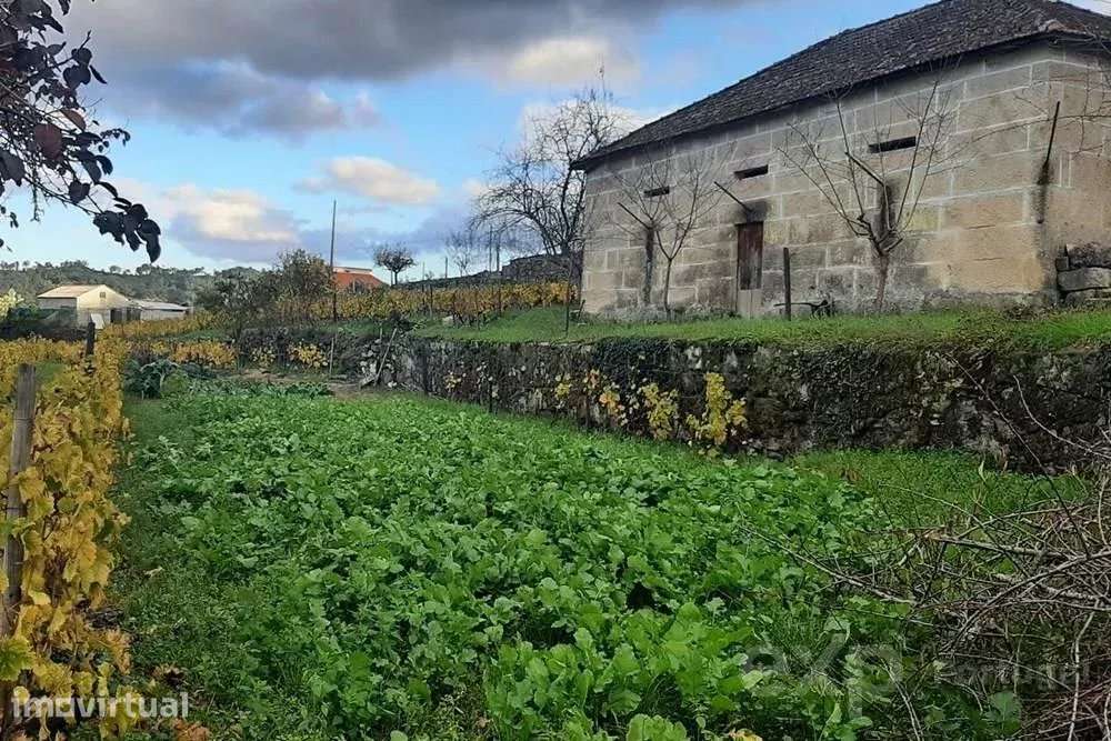 Armazém Agrícola em Pegarinhos, Alijó - Grande imagem: 3/9