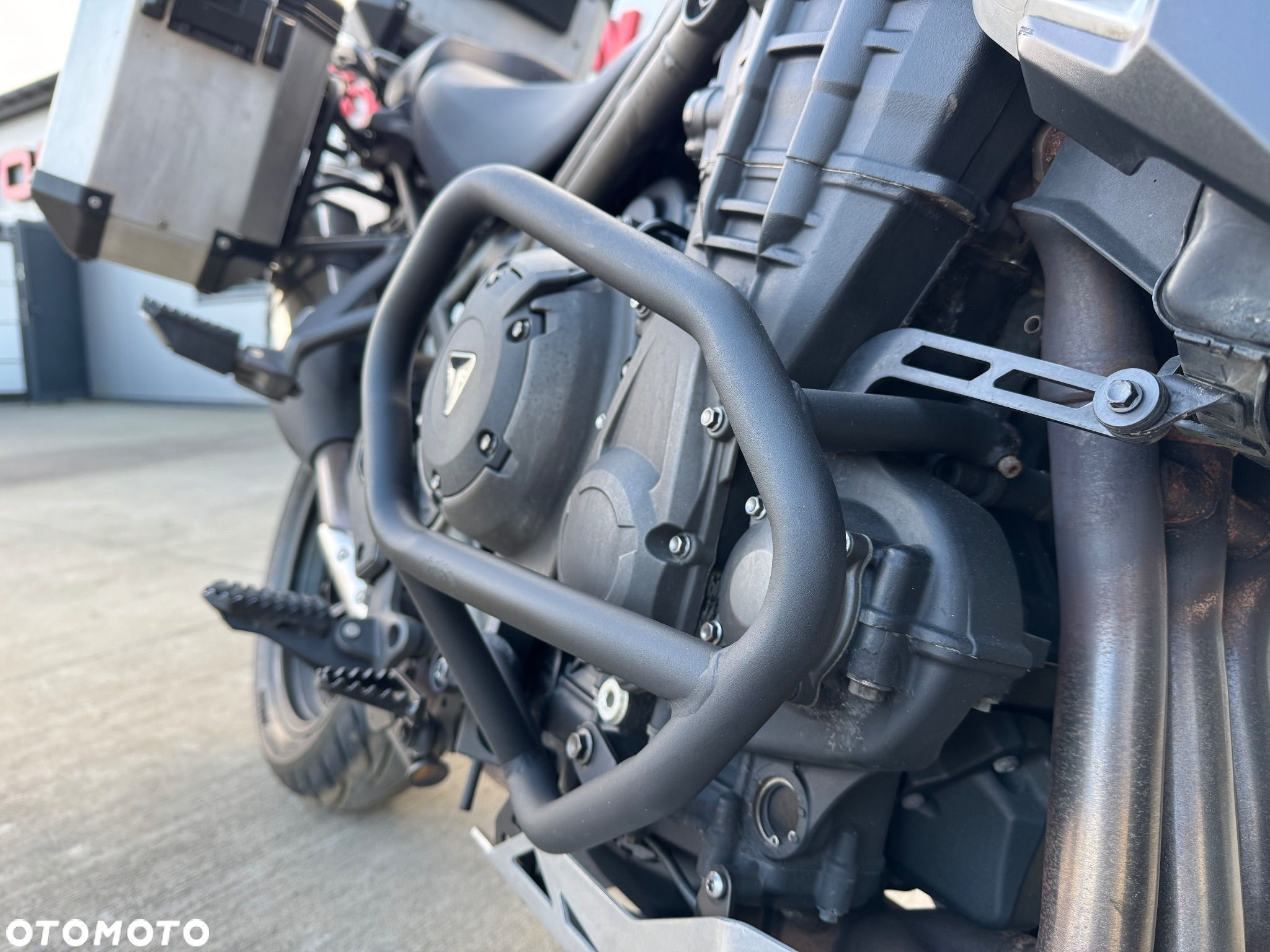 Triumph Tiger - 25