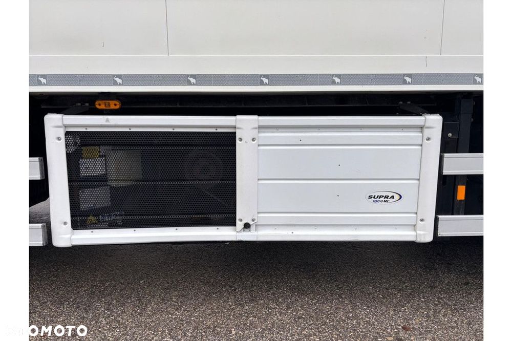 DAF XF 530 + CARRIER SUPRA 1150U Mt - 19