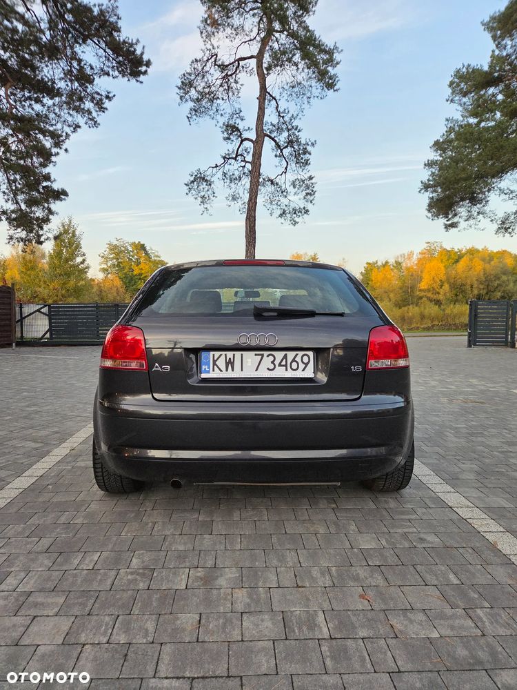 Audi A3 3-drzwiowe - 14