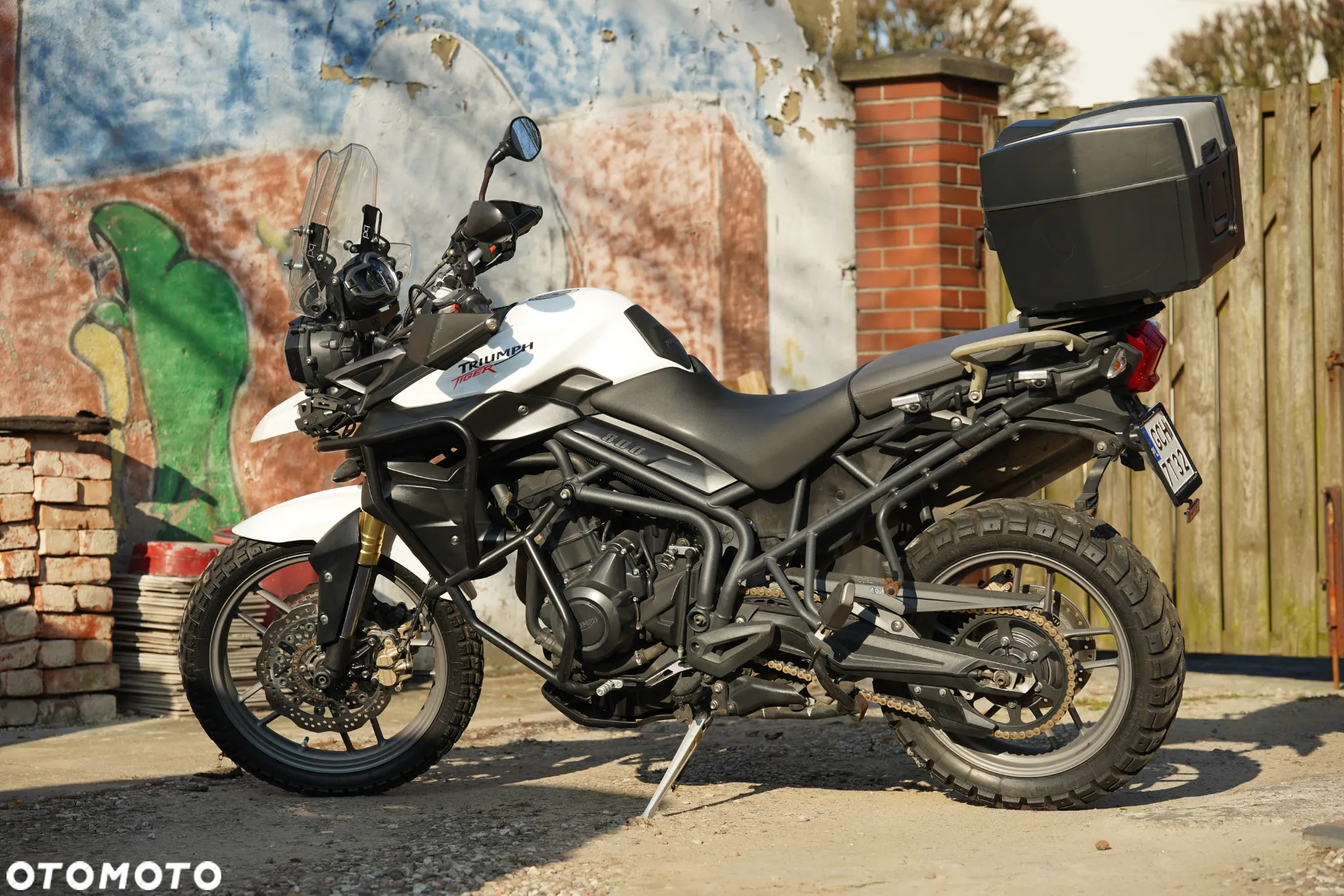 Triumph Tiger - 6