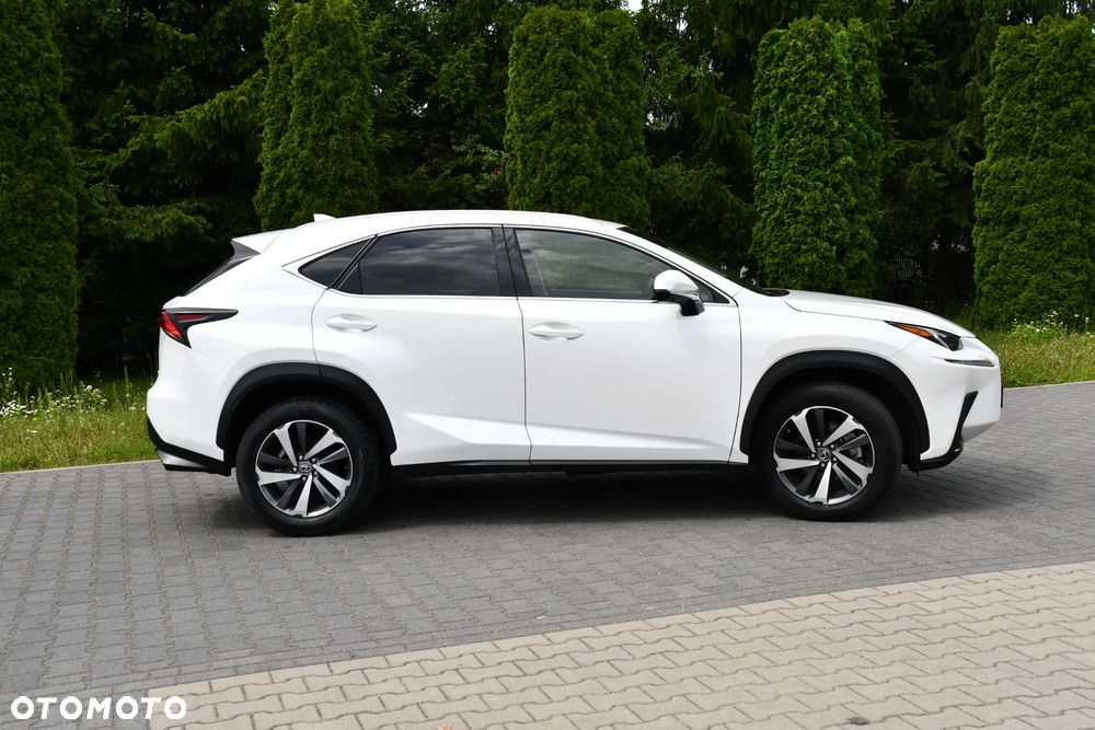 Lexus NX 300 Prestige AWD - 7