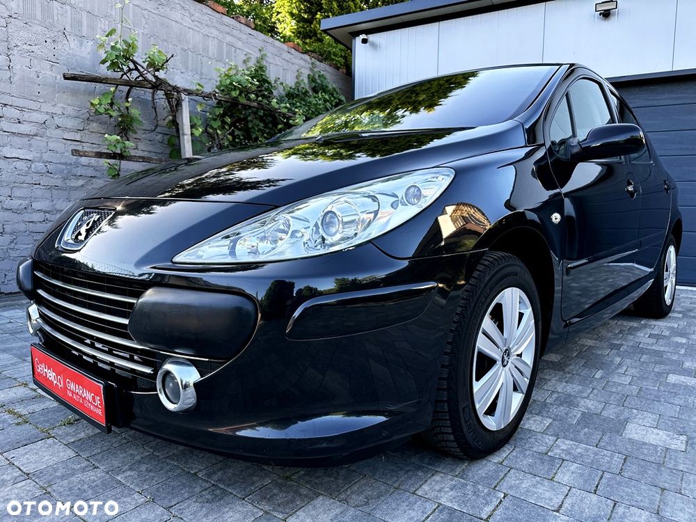 Peugeot 307 110 Premium - 9