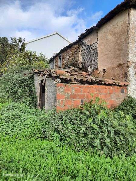 Casa para recuperar com logradouro e artigo anexo - Grande imagem: 4/11