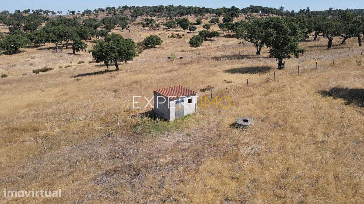 Herdade com 81,79 ha - Mora - Grande imagem: 5/11