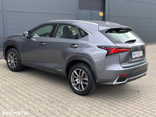 Lexus NX - 13
