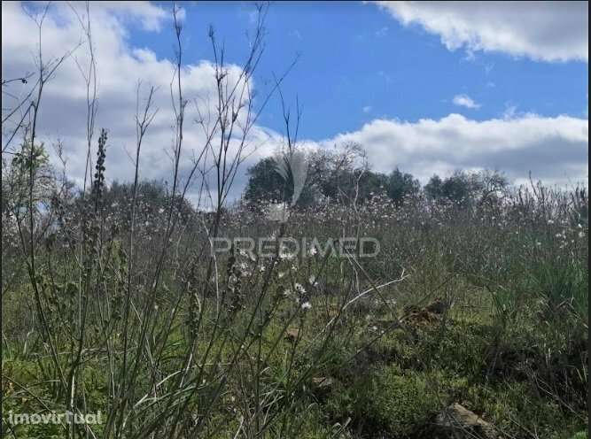 Terreno de 5240 m2, que contém também uma parte urbana com 80 m2, - Grande imagem: 4/21