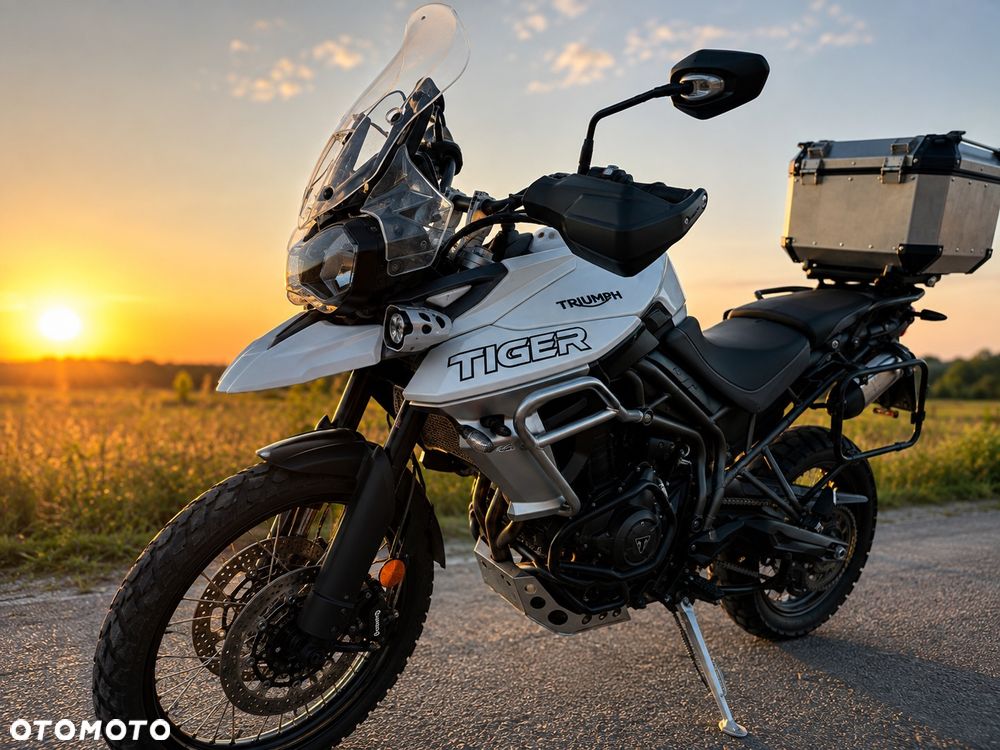 Triumph Tiger - 1