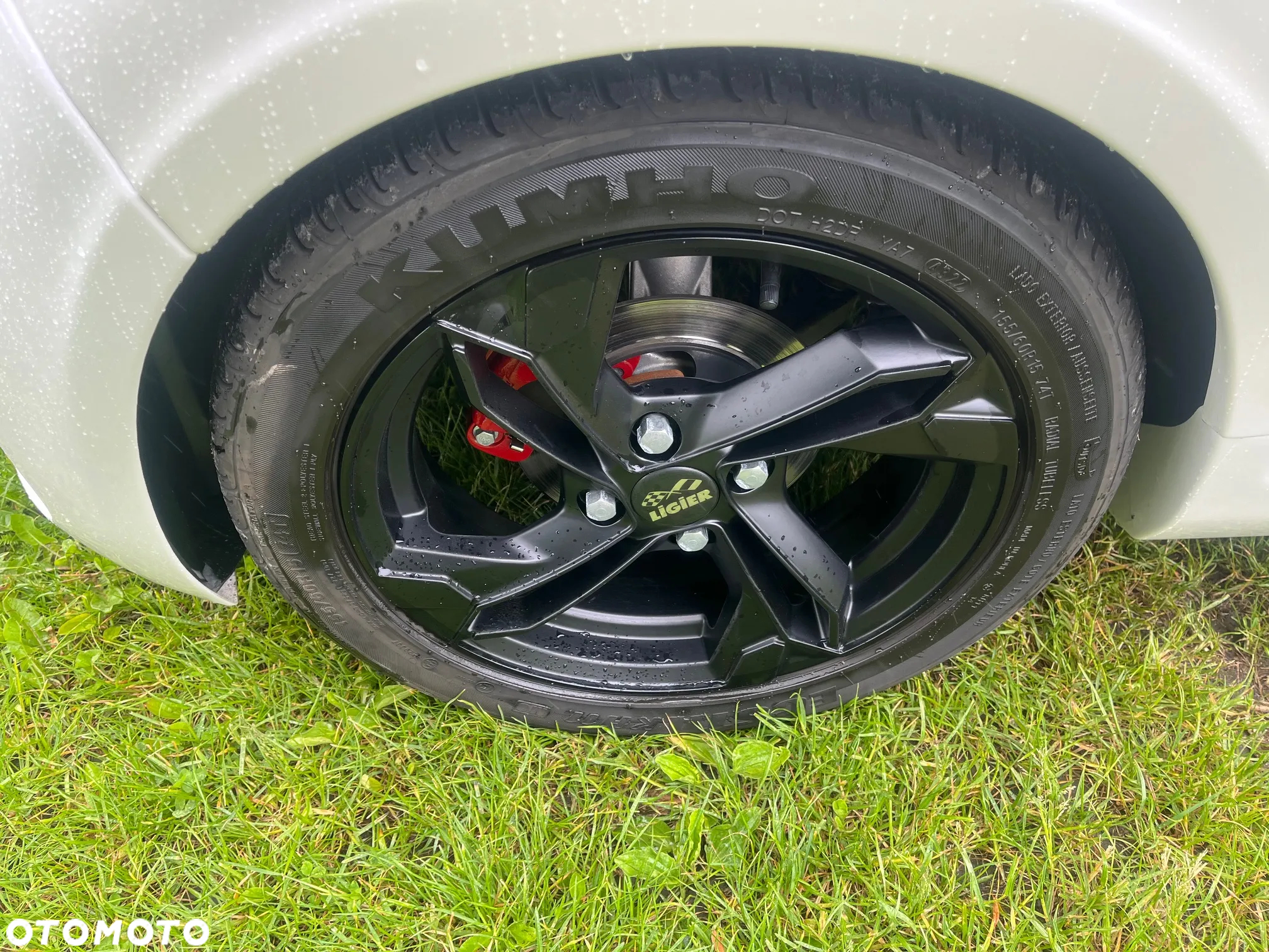 Ligier JS50 - 6