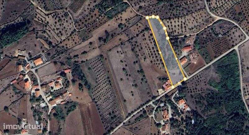 Vende-se Terreno com 6.000 m² em São Sebastião – Penela - Grande imagem: 4/4