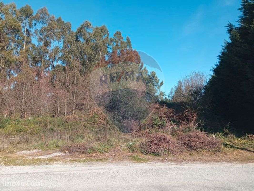 Terreno  para venda - Grande imagem: 4/4