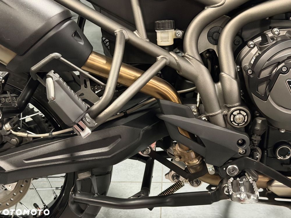 Triumph Tiger - 15