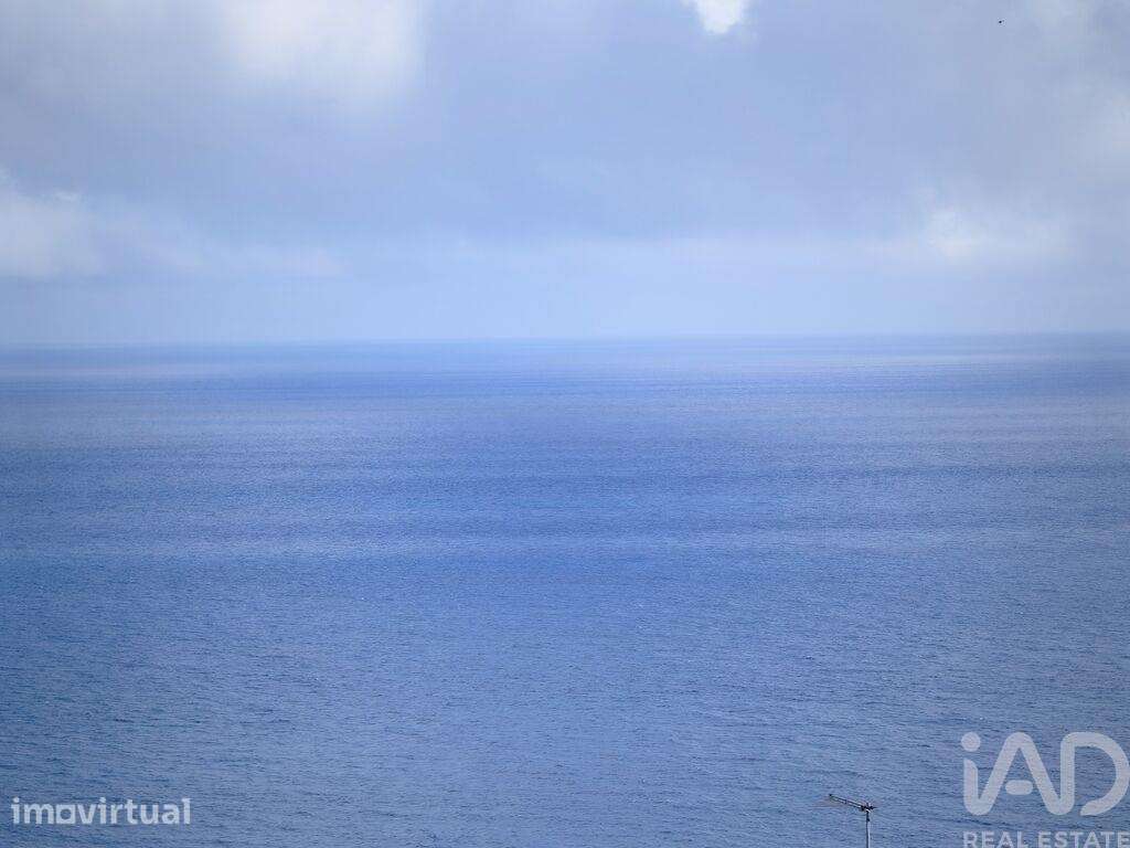 Moradia isolada T1 em São João de 63 m2 - Grande imagem: 2/14
