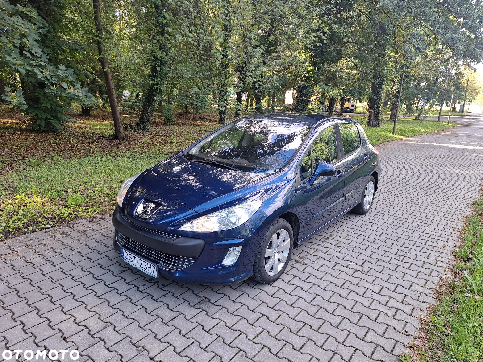 Peugeot 308 - 15