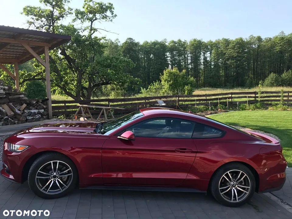 Ford Mustang 2.3 EcoBoost - 15