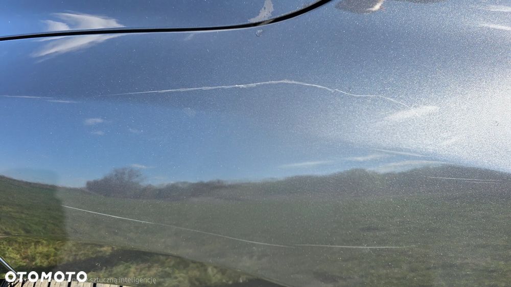 Renault Megane 1.9 dCi Privilege - 19