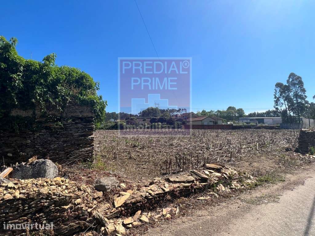 Terreno para construção em Loureiro - Oliveira de Azeméis - Grande imagem: 2/3
