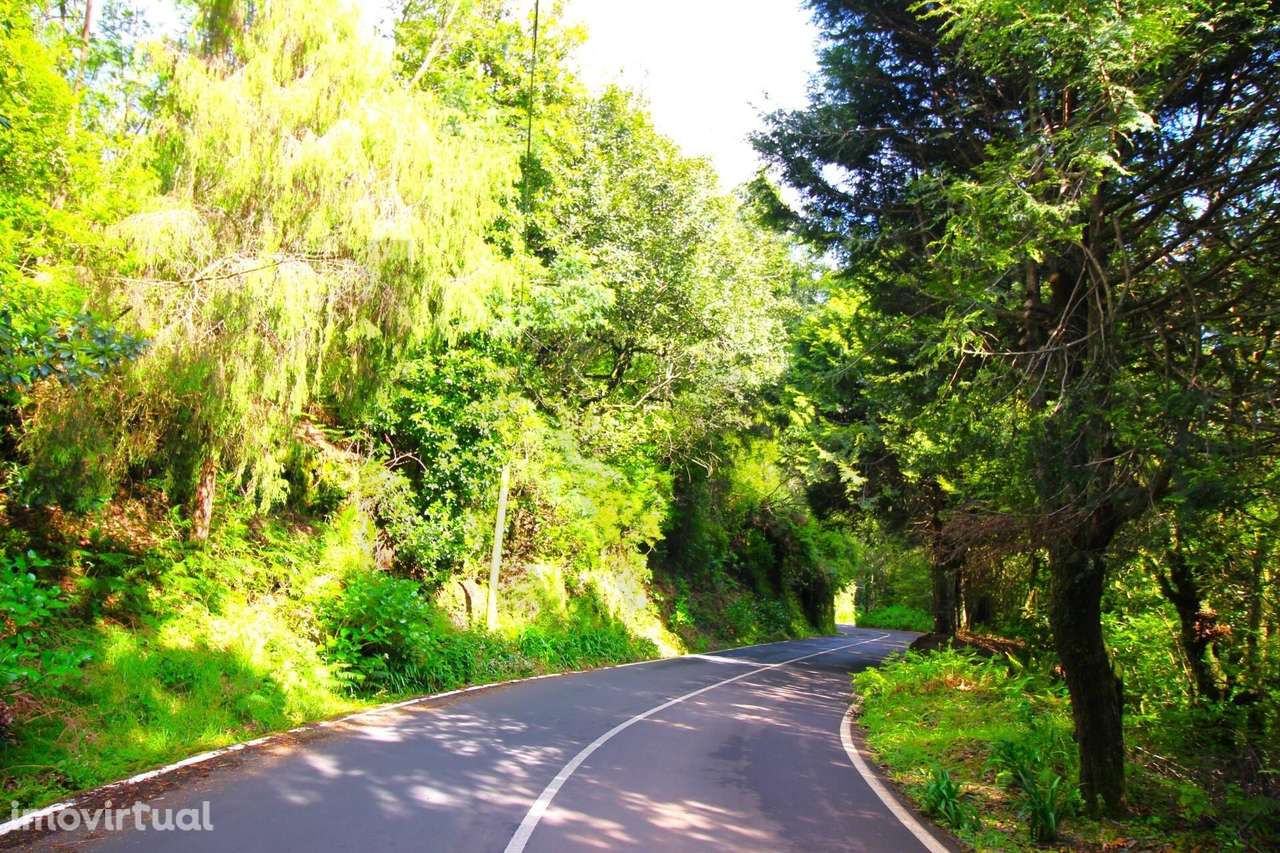Propriedade 26.320m2, em Espaços Agrícolas, Espaços Florestais Mistos - Grande imagem: 5/40