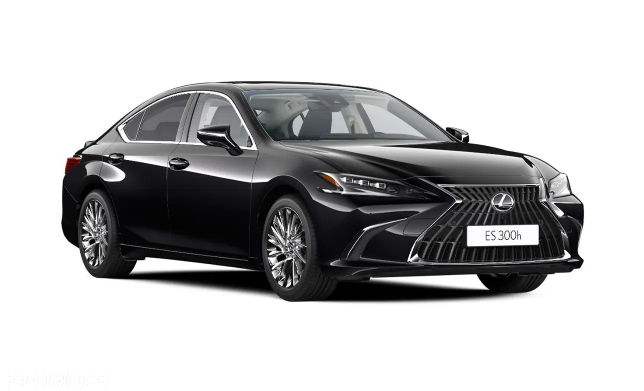 Lexus ES 300h Omotenashi - 3