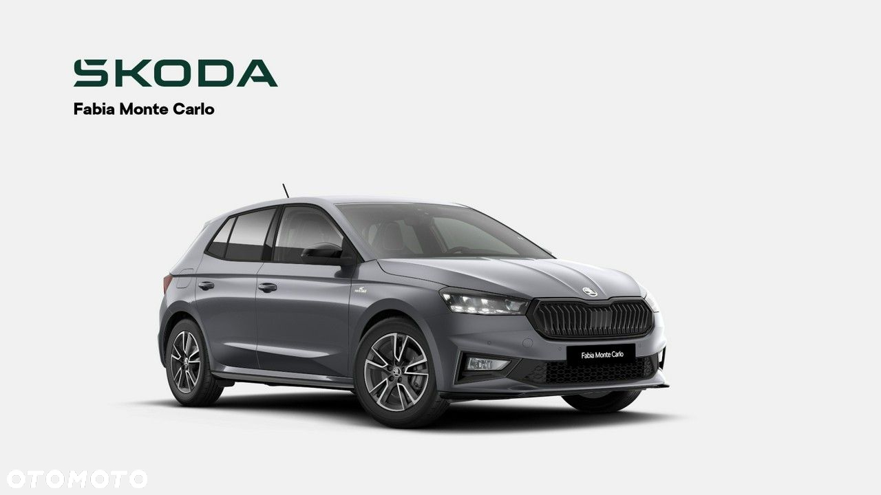 Skoda Fabia - 3