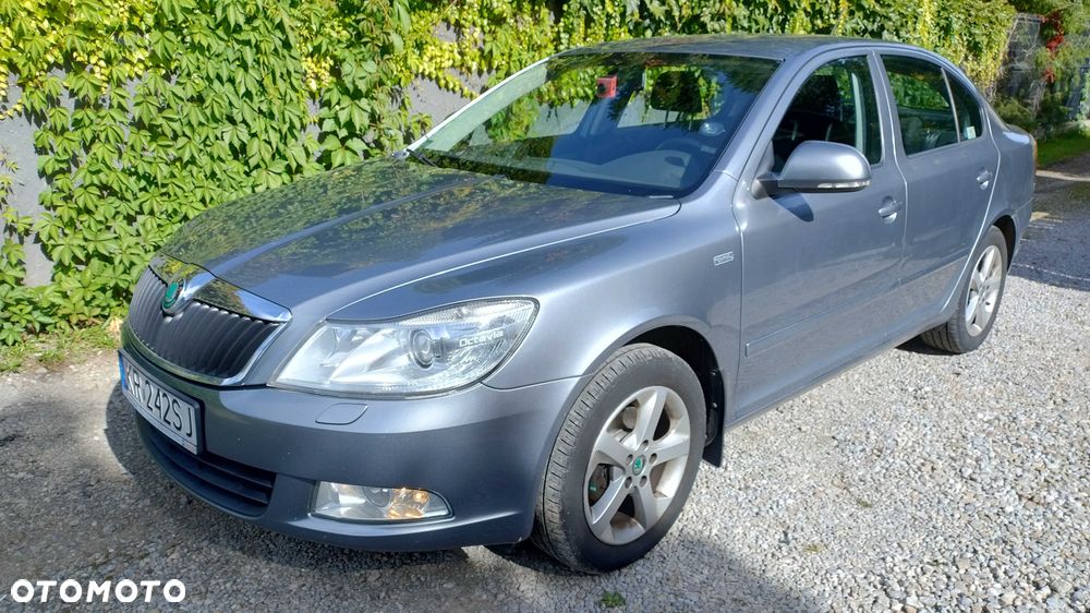 Skoda Octavia - 1