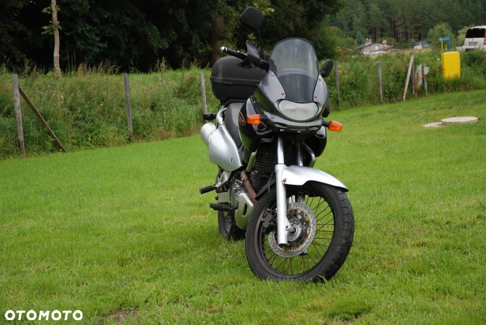 Suzuki XF - 6