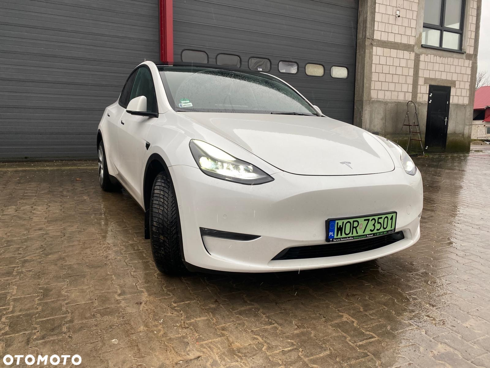 Tesla Y Model RWD - 2
