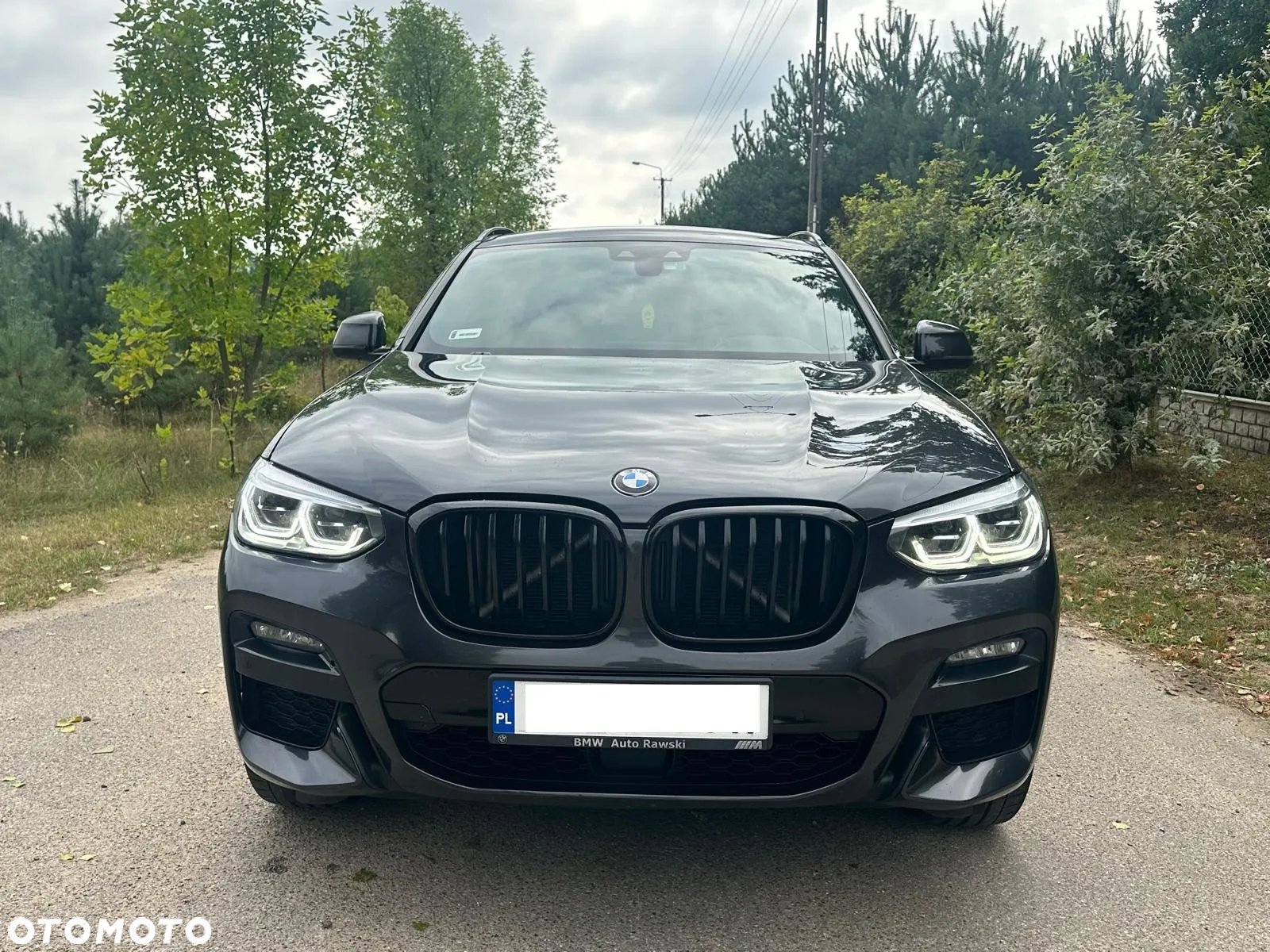 BMW X4 xDrive30d Advantage sport - 6