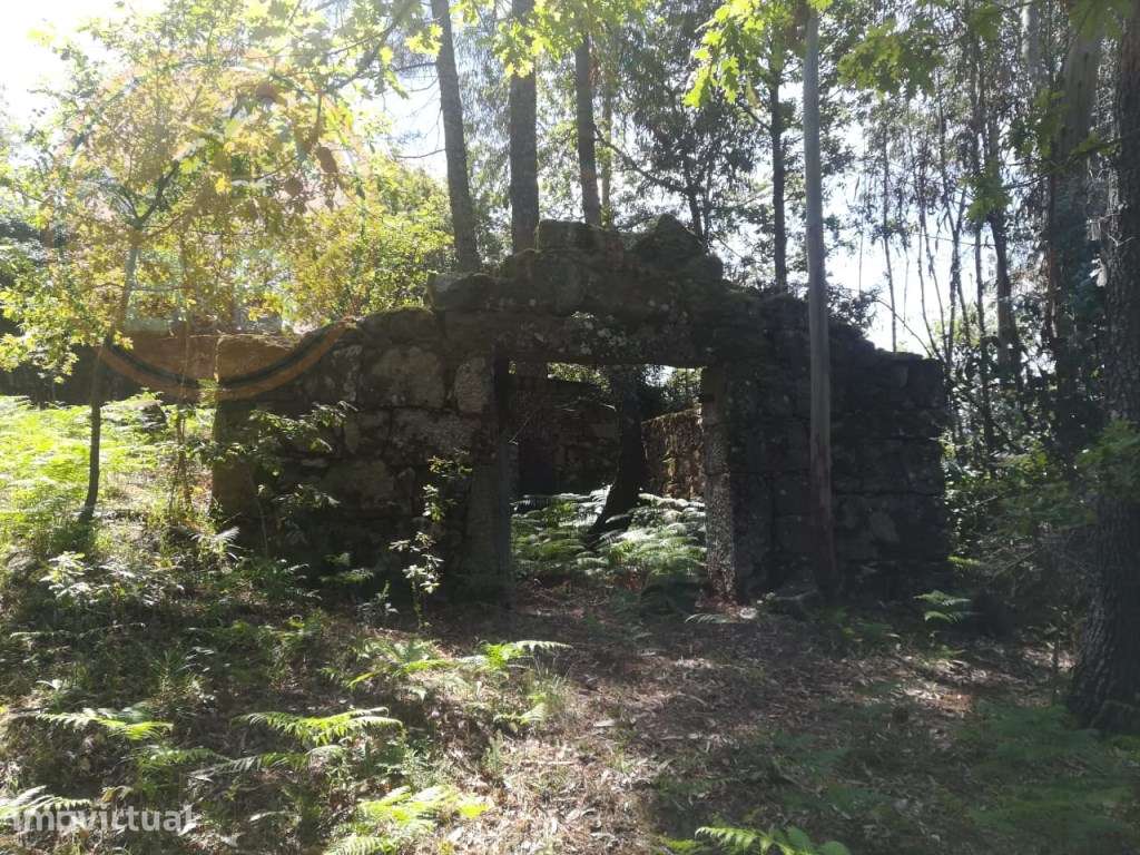 TERRENO COM APROXIMADAMENTE 14.000M² EM CERVA, RIBEIRA DE PENA - Grande imagem: 2/7