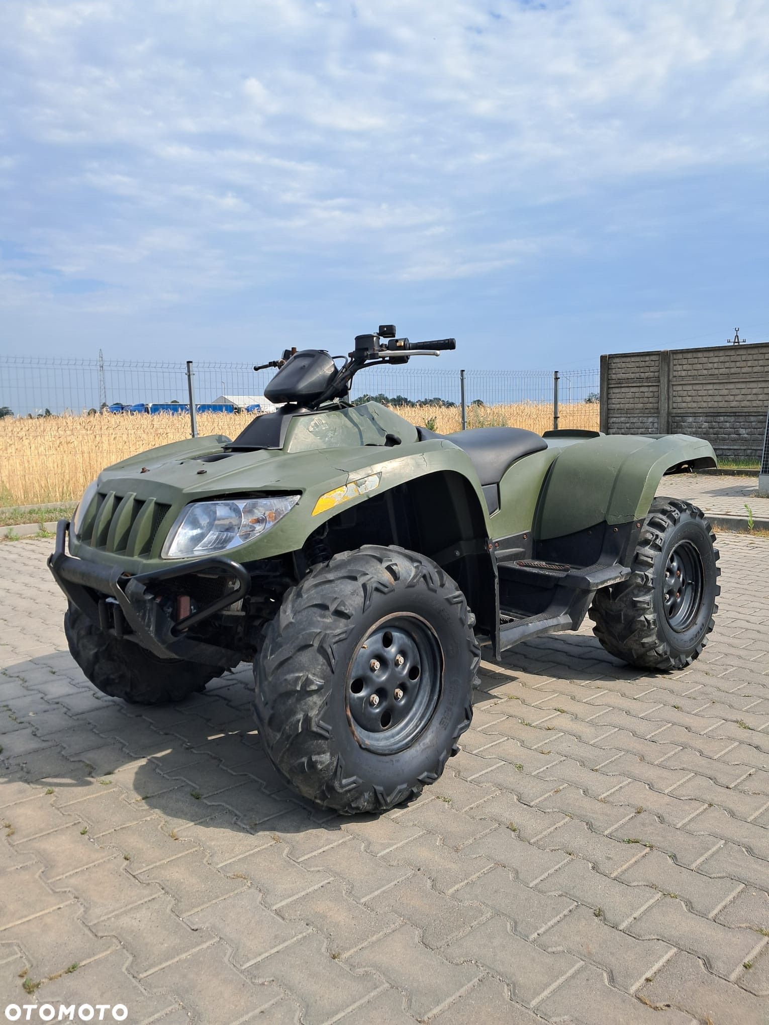 Arctic Cat Inny