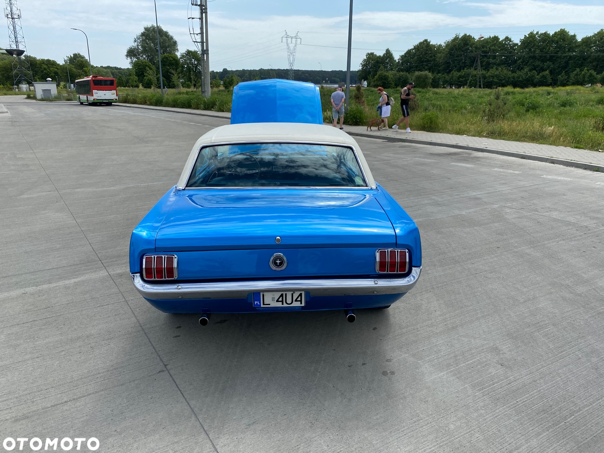 Ford Mustang - 6