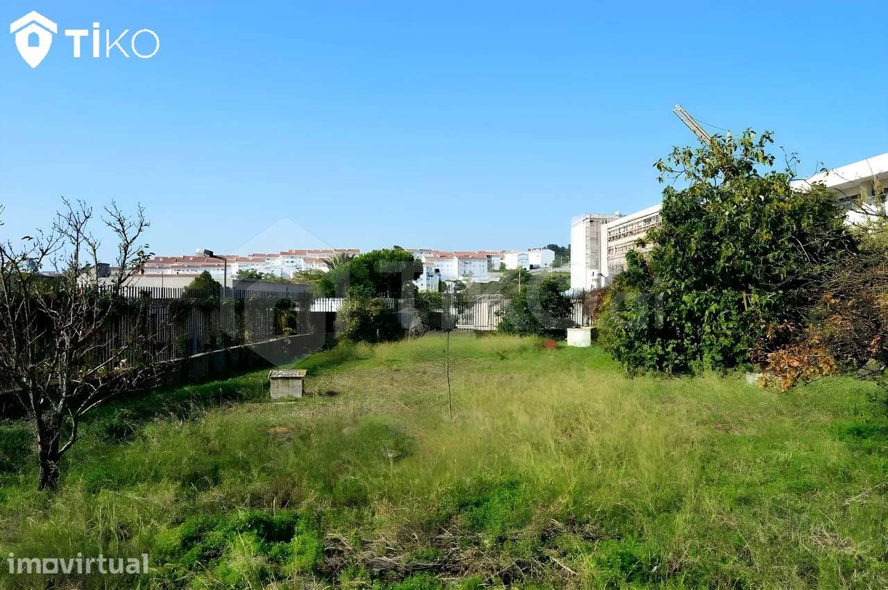Terreno 2000m² - Ajuda - Grande imagem: 2/21