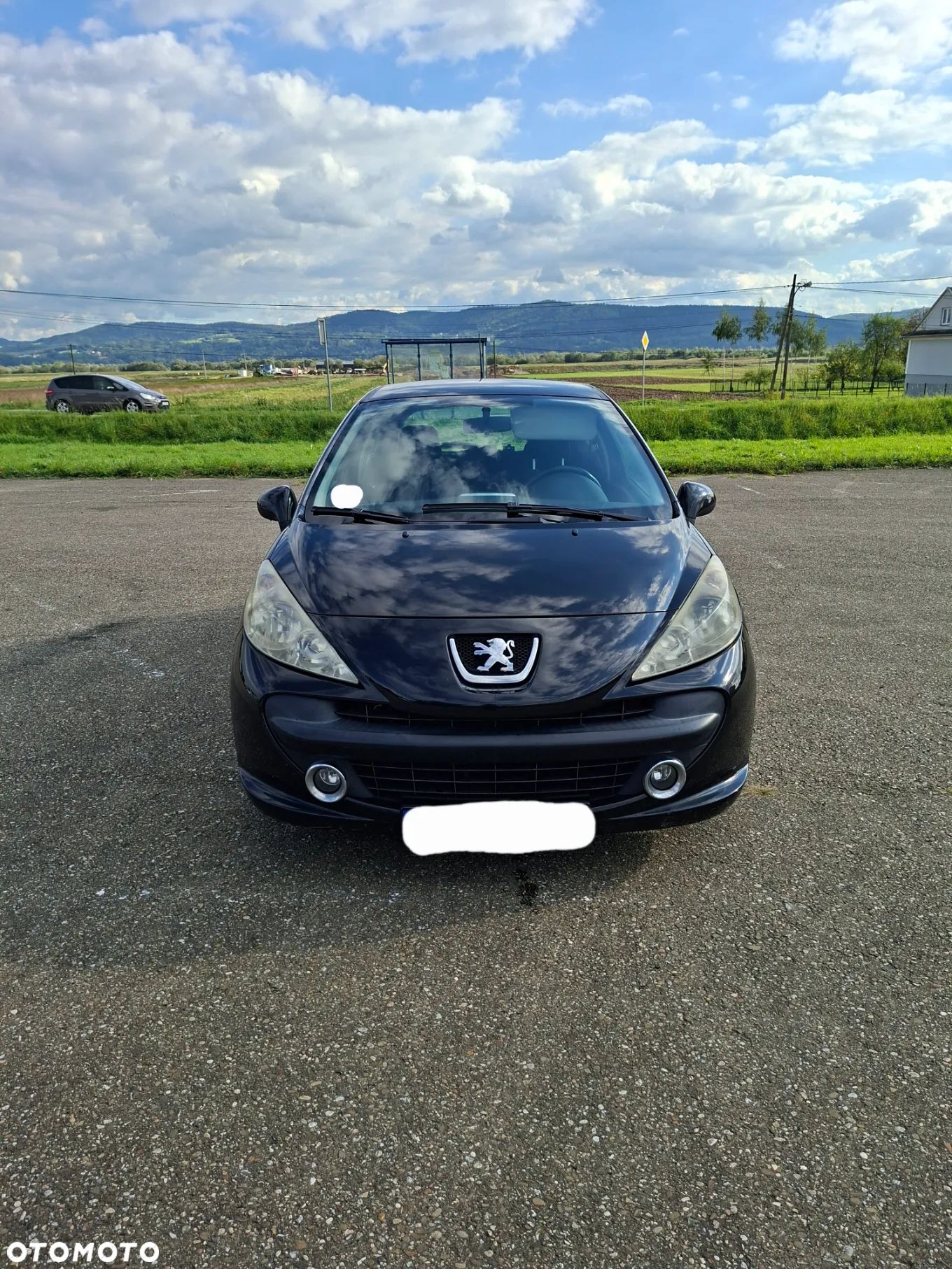 Peugeot 207 - 1