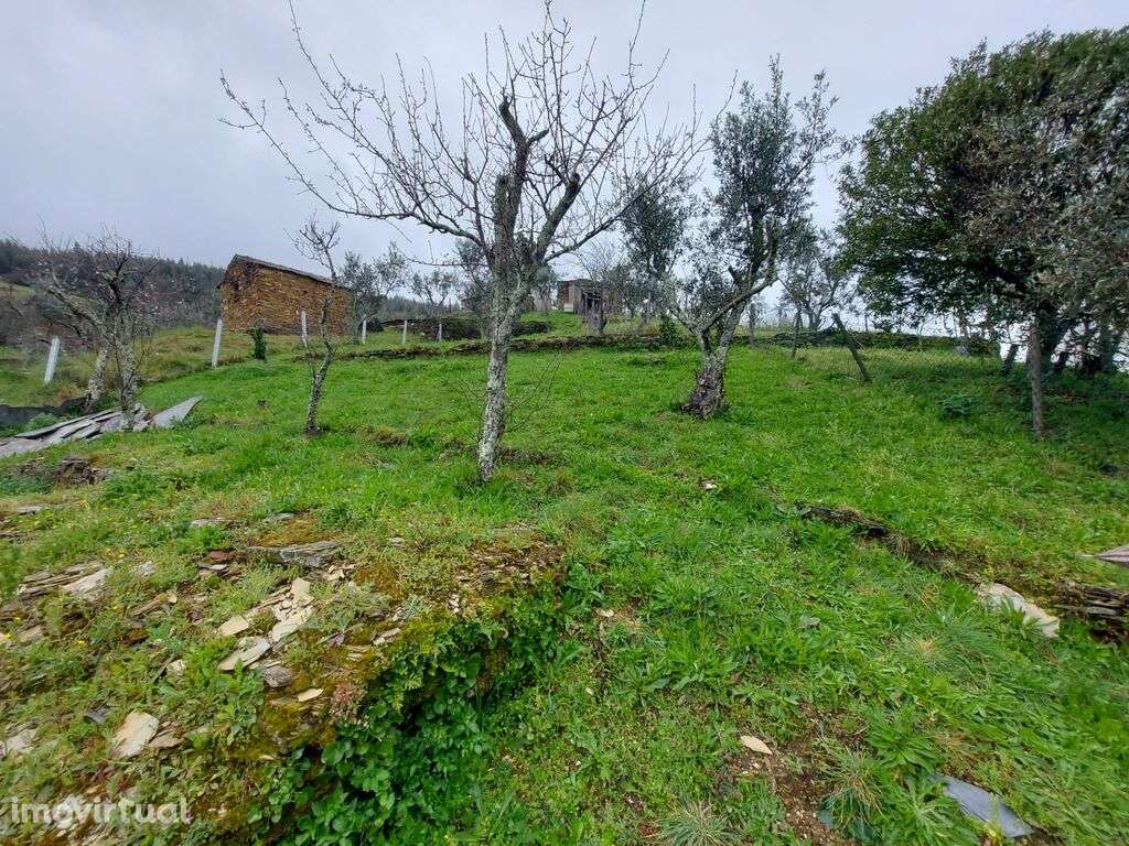 Venda Moradia - Grande imagem: 2/9