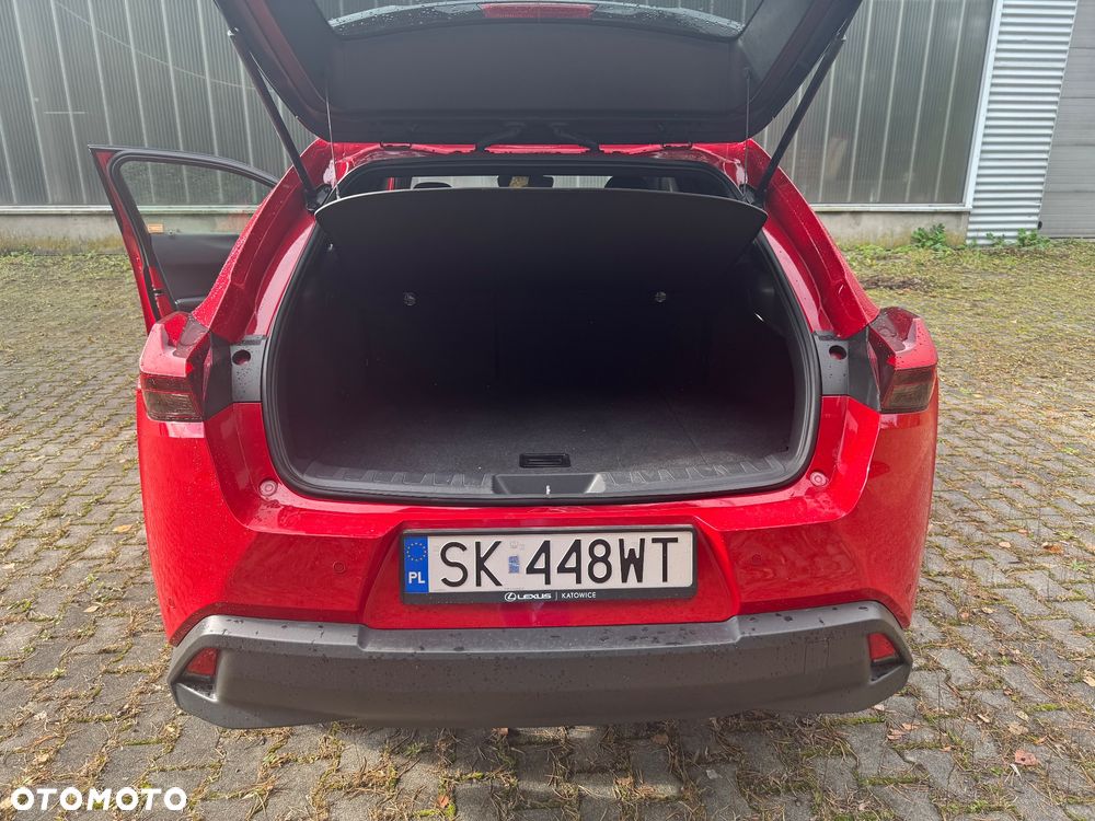 Lexus UX 250h GPF Business Edition 2WD - 24