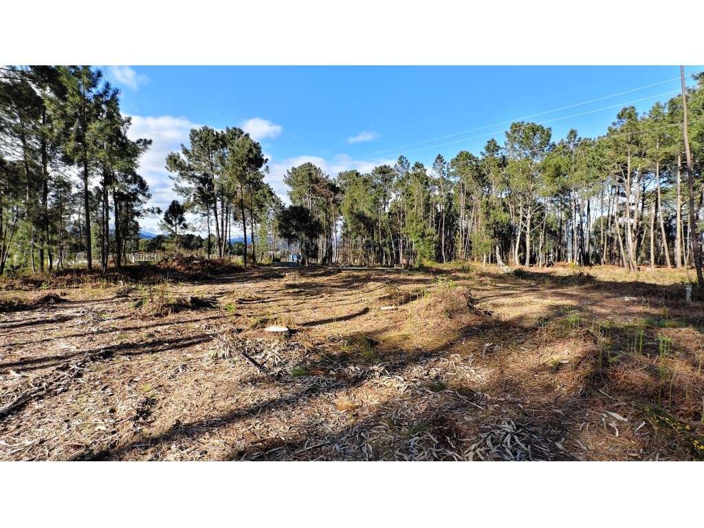 Terreno para venda, em zona de construção, situado na tranquila fre... - Grande imagem: 5/6