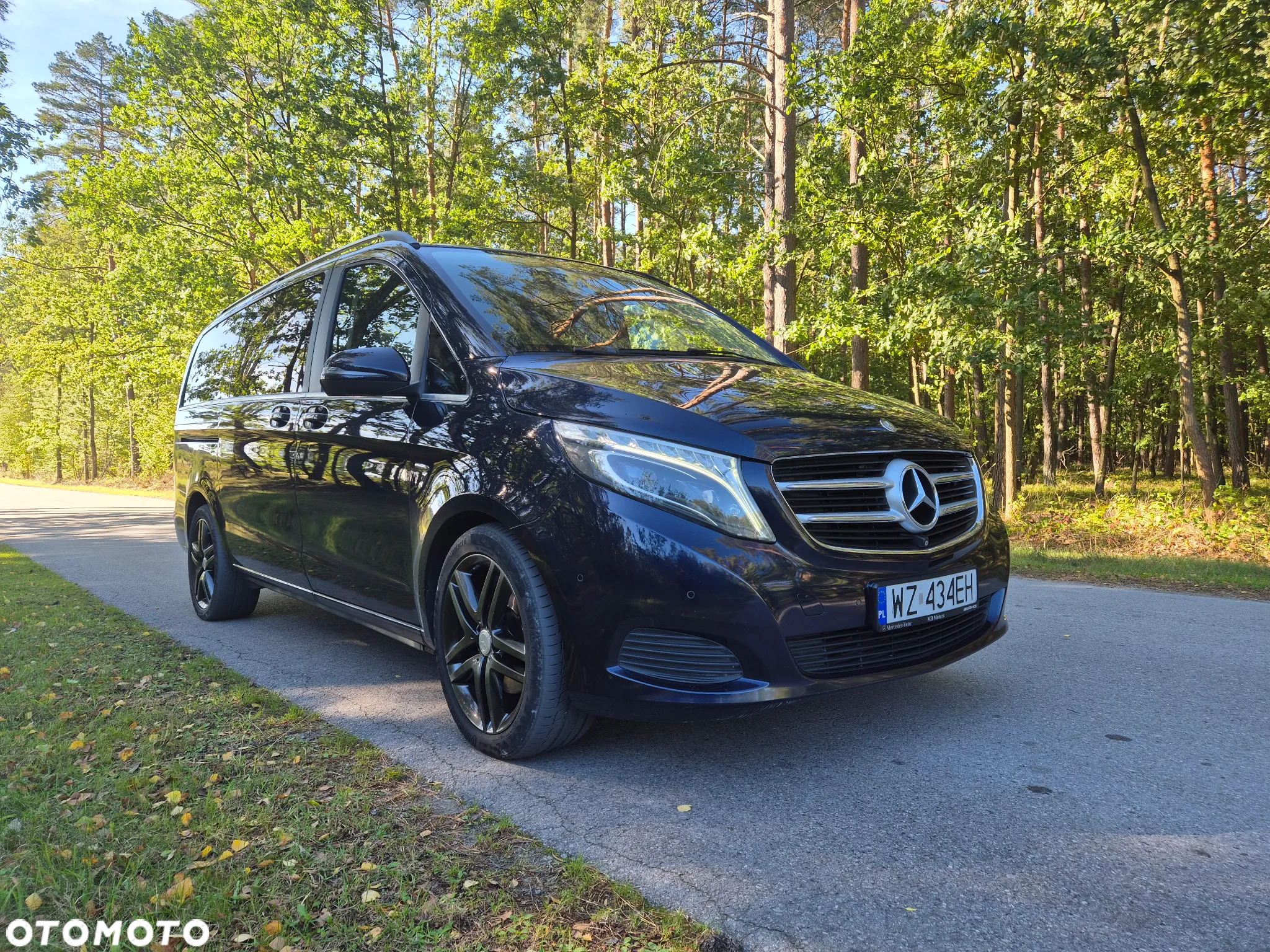 Mercedes-Benz Klasa V 250 (BlueTEC) d 7G-Tronic (d³ugi) - 5