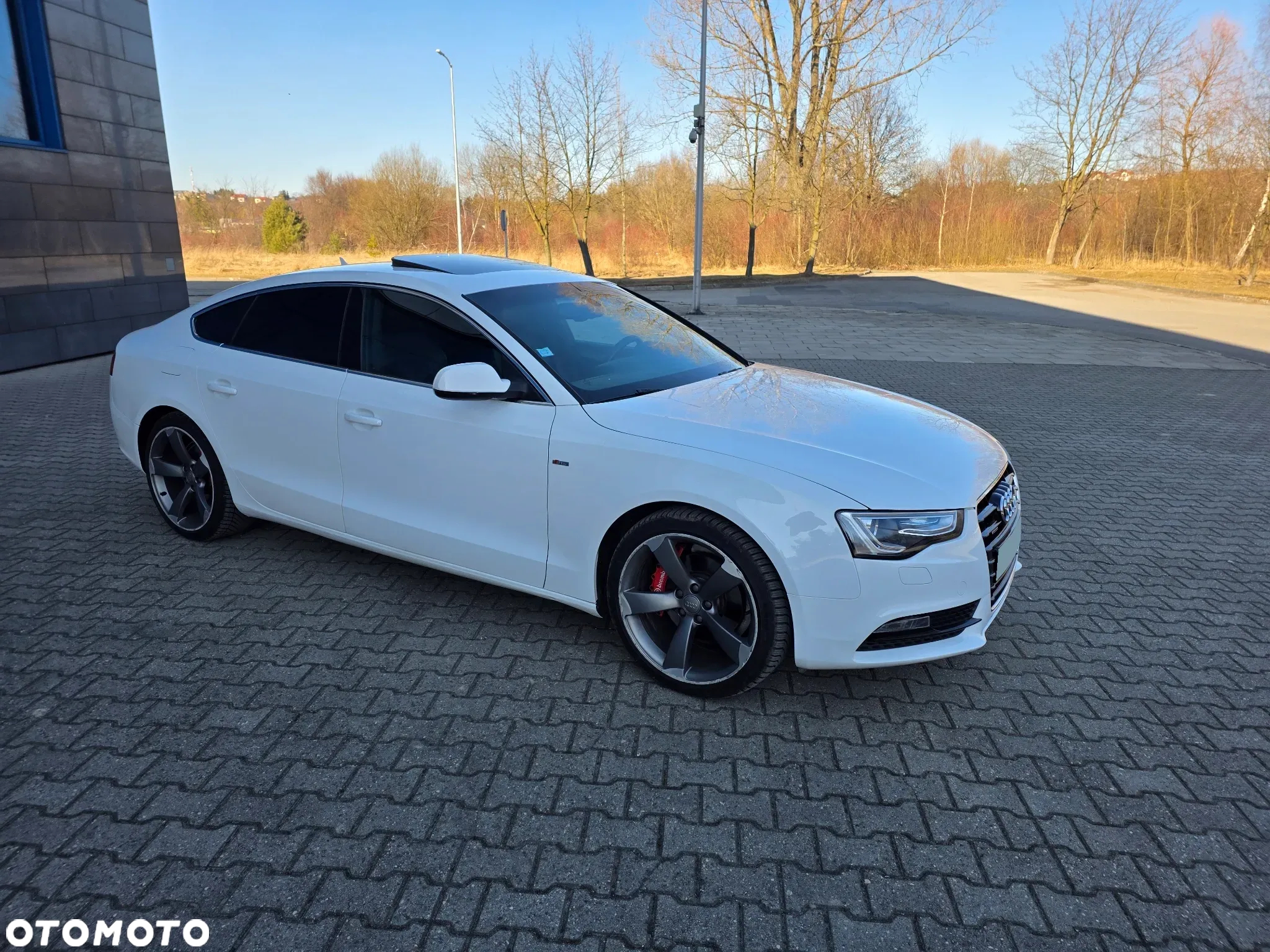 Audi A5 2.0 TDI Sportback quattro DPF S tronic - 12
