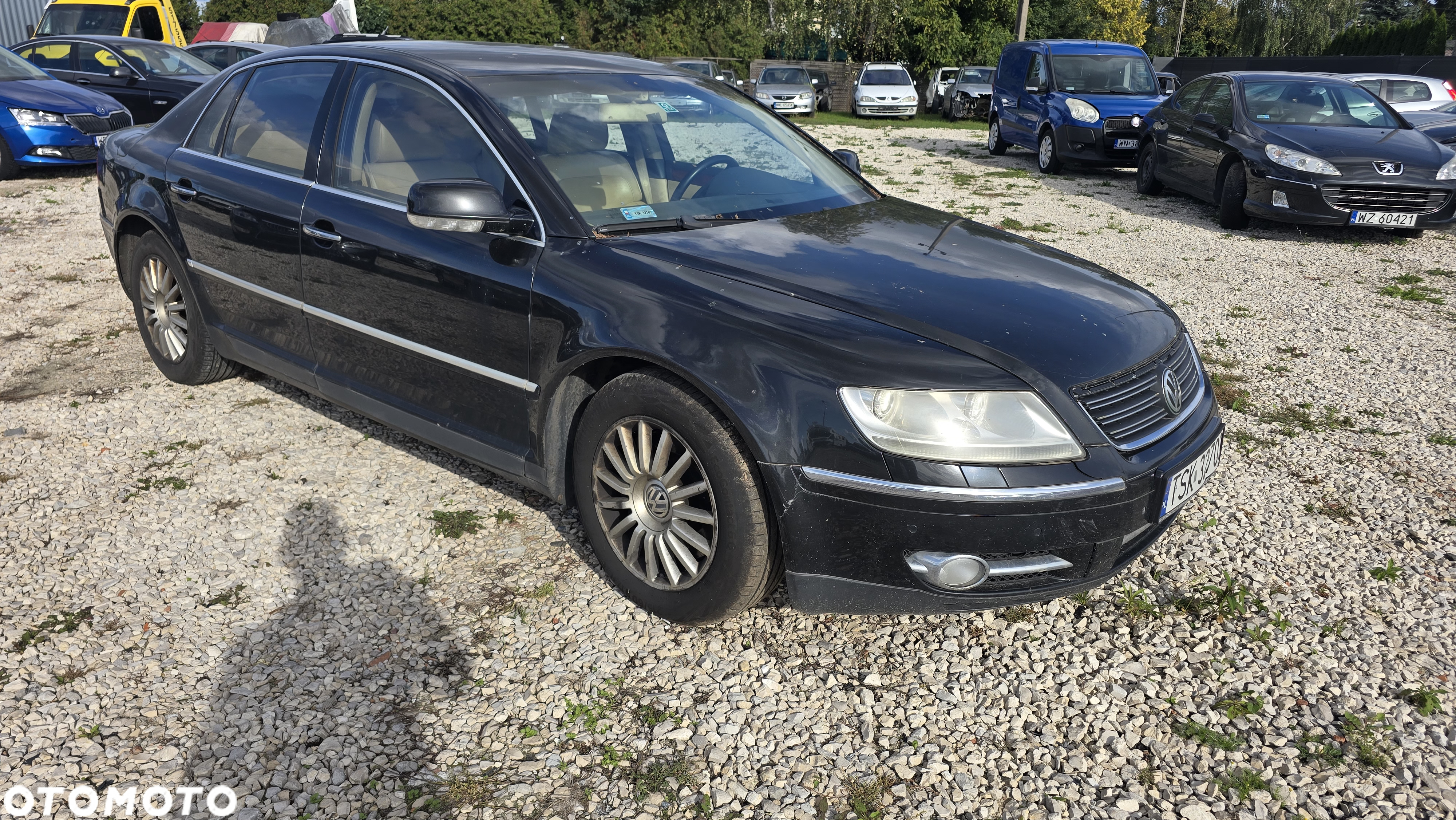 Volkswagen Phaeton 4.2 V8 4Mot (5 os.) - 6