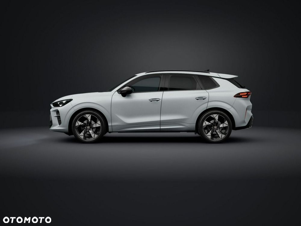 Cupra Terramar - 2