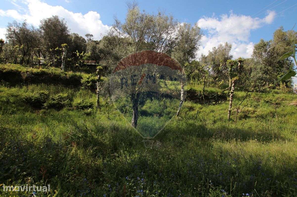 Terreno  para venda - Grande imagem: 4/6