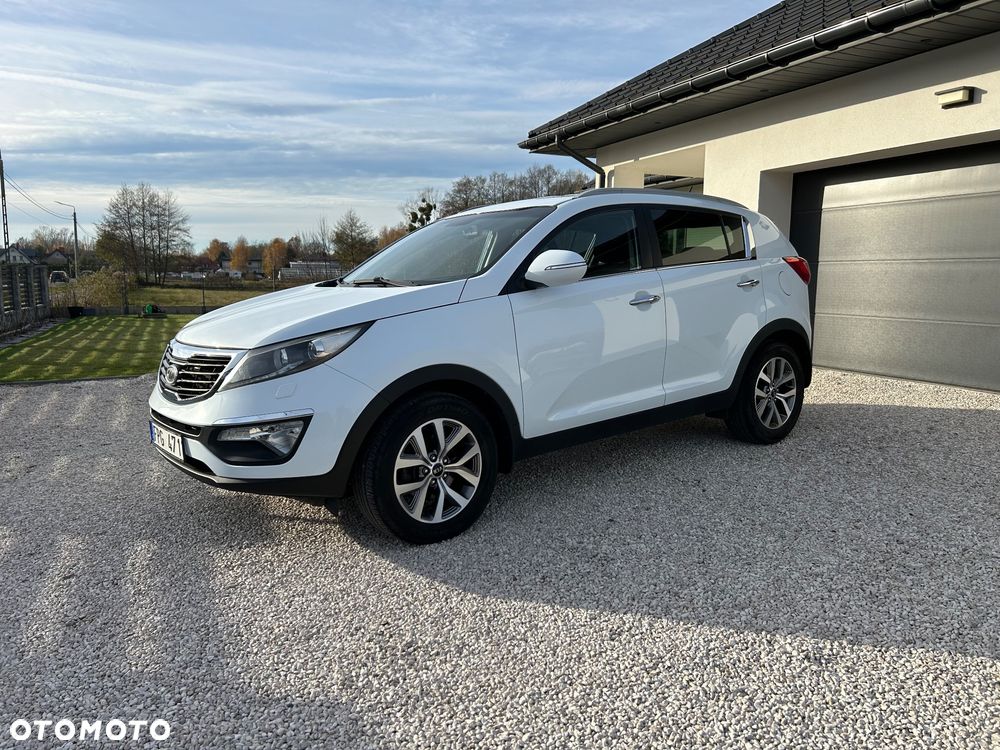 Kia Sportage ver-1-6-gdi-business-line-l-2wd - 13