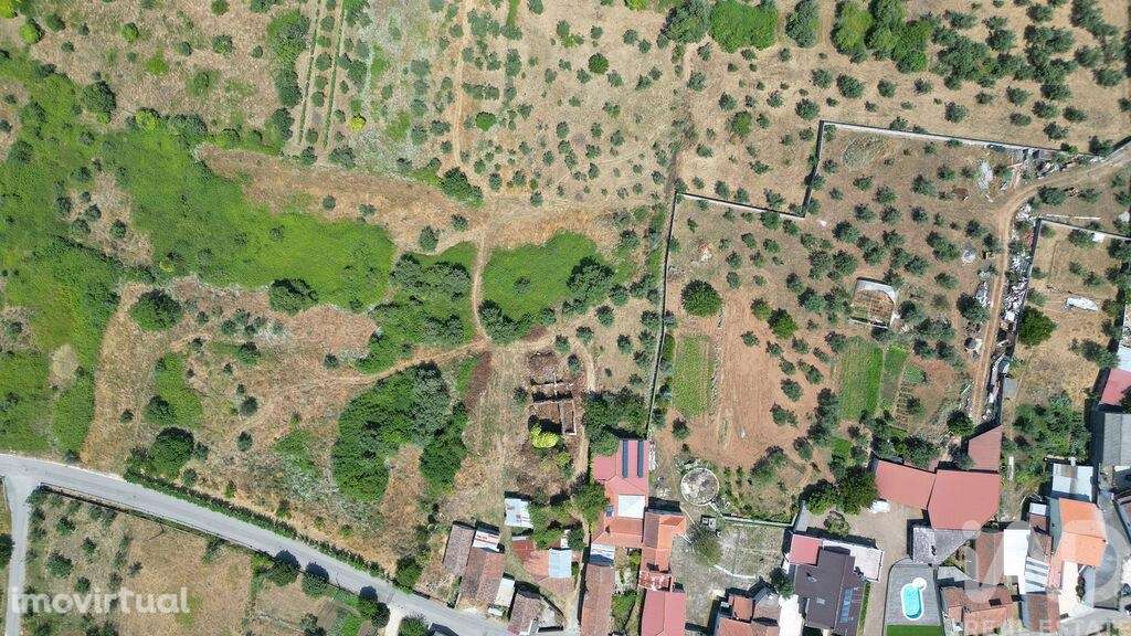 Quinta em Chão de Couce de 72,00 m2 - Grande imagem: 2/25