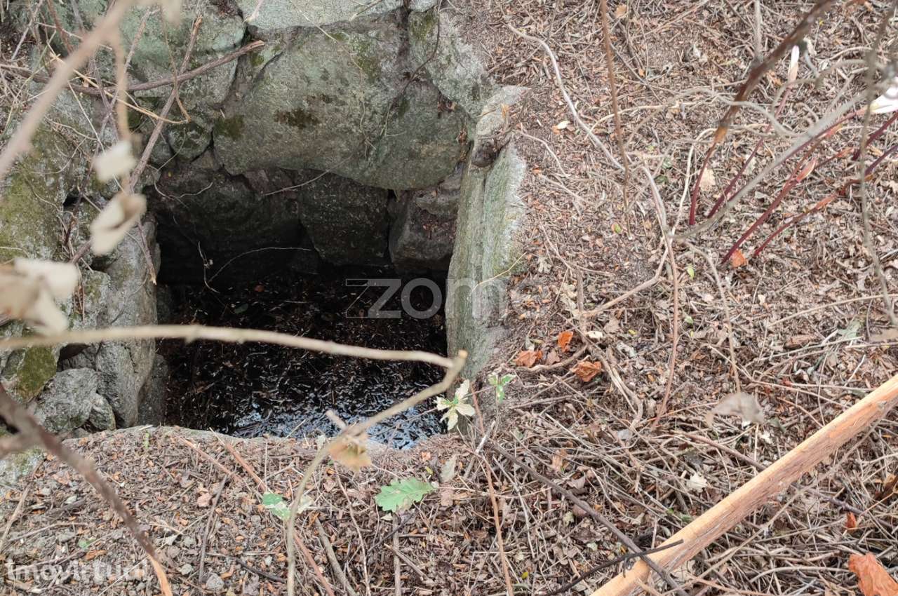 Terreno rústico em Cabanas do viriato COM 7.480 m2 - Grande imagem: 4/18
