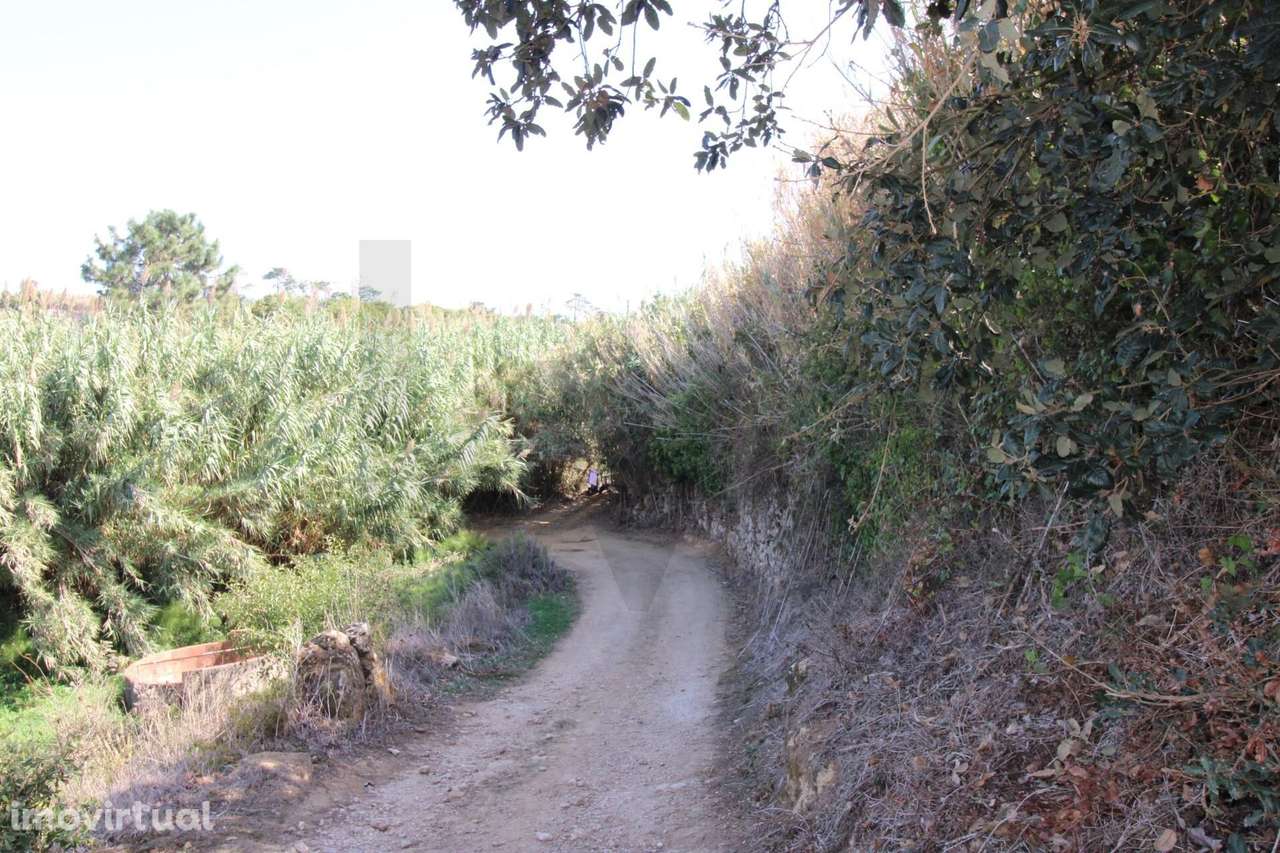 Terreno rústico - Casal da Serra / Mafra - Grande imagem: 5/27