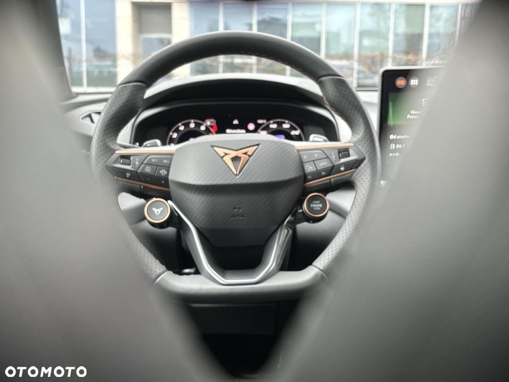 Cupra Terramar 2.0 TSI 4Drive DSG - 18