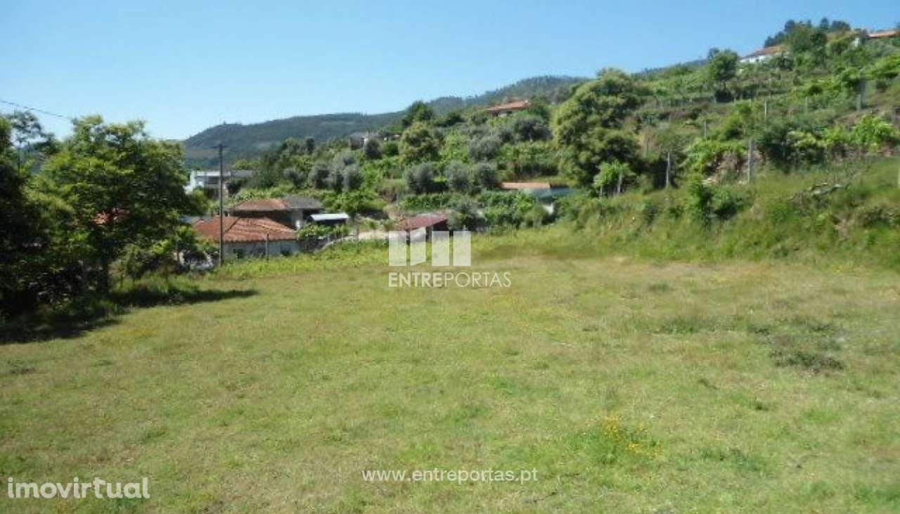 Venda Terreno, Nespereira, Cinfães - Grande imagem: 5/8