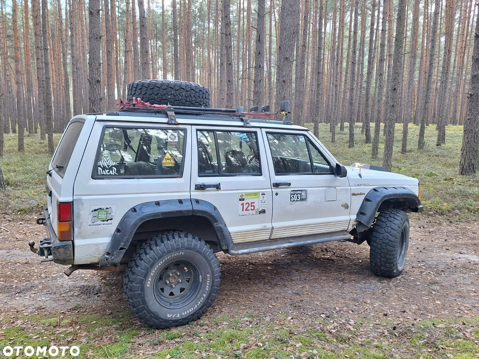 Jeep Cherokee 4.0 Limited - 5
