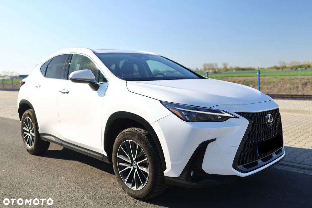 Lexus NX - 12
